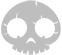skull icon